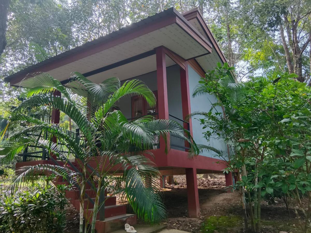 Khao Sok River & Jungle Bungalow Khao Sok National Park Esterno foto