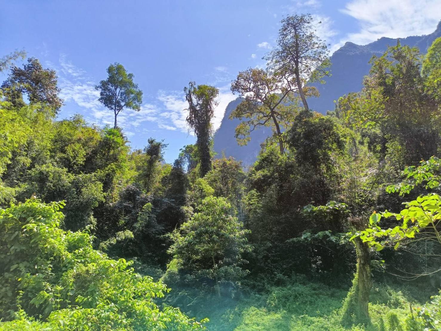 Khao Sok River & Jungle Bungalow Khao Sok National Park Esterno foto